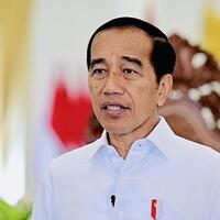 jokowi-demi-bangsa-dan-negara-ke-depan-saya-akan-cawe-cawe