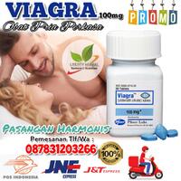 suplemen-vitamin-kesehatan-pria-vgr-usa-100mg-original-087831203266