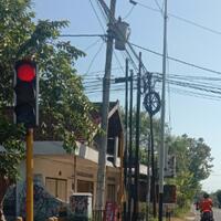 kenapa-tiang-jaringan-ditanam-membentuk-kelompok