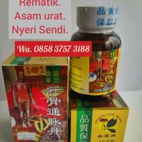 wa-0858-3757-3188---jual-tong-mai-dan-pekanbaru---kota-pekanbaru-rematik-asam-urat