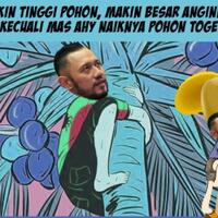 demokrat-hanya-ahy-sanggup-jadi-cawapres-figur-lain-tak-mampu