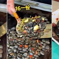 tumis-batu-makanan-khas-china-yang-unik-dan-menarik-batu-dimakan