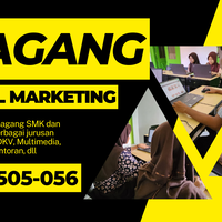 pelatihan-kerja-magang-internet-marketing-gresik