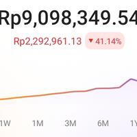 challenge-myself-spill-portofolio-persiapan-bull-run-crypto-2024-2025