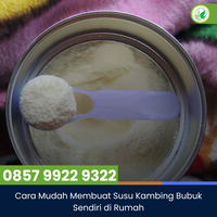 cara-mudah-membuat-susu-kambing-bubuk-sendiri-di-rumah