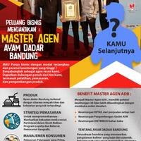 ayam-dadar-bandung-menawarkan-peluang-master-franchise