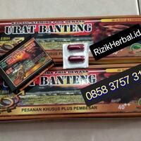 jual-obat-kuat-di-pekanbaru---kota-pekanbaru-obat-stamina-pria-obat-tahan-kopi-bpom