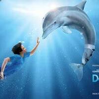 review-film--dolphin-tale-2011