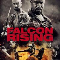 review-film--falcon-rising