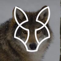 9-inspirasi-logo-menarik-yang-terinspirasi-dari-bentuk-bentuk-hewan-di-alam-liar