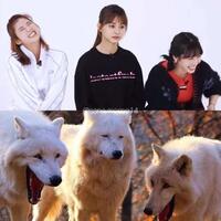 l4us-liverpool-forum-kaskus---season-2022-23---imagine-being-us