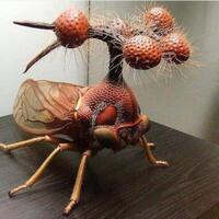 bocydium-globulare--serangga-menyeramkan-ini-membuatmu-tak-tahan-melihatnya