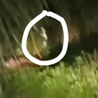 5-fakta-teror-pocong-di-rembang-yang-bikin-resah-warga-real-or-fake