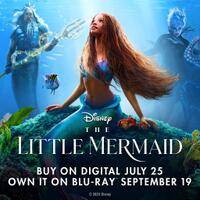 the-little-mermaid-2023--disney-s-live-action-remake
