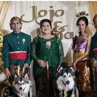 heboh-pernikahan-anjing-di-gelar-mewah-di-pik-habiskan-biaya-200-juta-apakah-wajar