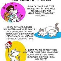 cara-mencegah-kucing-liar-berak-di-sekitar-rumahmu