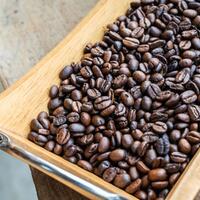 proses-pengeringan-kopi-untuk-meningkatkan-kualitas-dan-efisiensi