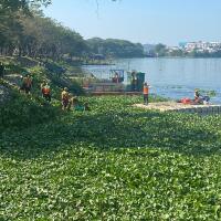 bahu-membahu-membersihkan-waduk-pluit-yang-dipenuhi-eceng-gondok