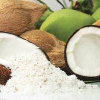 manfaat-parutan-kelapa-segar-sumber-nutrisi-alam-yang-lezat-untuk-kesehatan-anda
