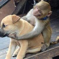 united-kaskus-b-log-community---part-8