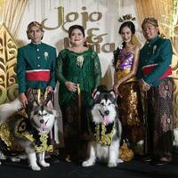 dianggap-lecehkan-adat-jawa-pernikahan-anjing-di-pik-panen-kecaman