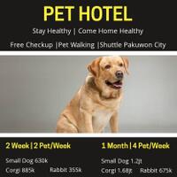 petshop-di-pakuwon-city