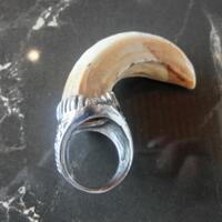 cincin-kuku-bima-quotsuper-langkaquot