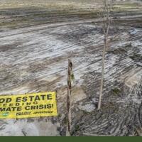 influencer-pertanyakan-kinerja-prabowo-proyek-food-estate-di-kal-teng-mangkrak