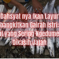 misteri-ikan-layur-rahasia-rezeki-cinta-dan-harmoni-rumah-tangga