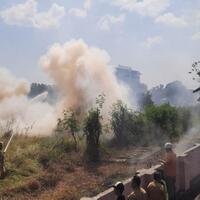 angka-kebakaran-lahan-meningkat-warga-jogja-diminta-tak-bakar-sampah