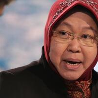 risma-ingin-bangun-ternak-babi-cegah-krisis-pangan-di-papua-tengah