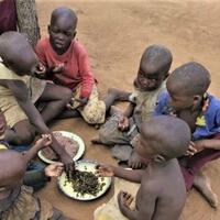 3-negara-gagal-menurut-pbb-indonesia-termasuk-lho-gan