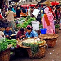 menyoal-peserta-dplk-sektor-informal-dan-umkm-apa-yang-harus-digenjot