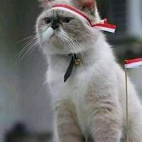 miris-pasang-bendera-merah-putih-pada-anjing-peliharaannya-rh-diamankan-polisi