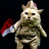 pria-di-bengkalis-jadi-tersangka-gegara-pasang-bendera-merah-putih-di-leher-anjing