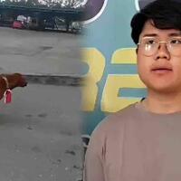 rh-pemuda-yang-pasang-bendera-di-leher-anjing-jadi-tersangka-putusan-kontroversial