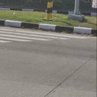 hasto-kritik-food-estate-jokowi-membangun-tak-semudah-yang-dibayangkan