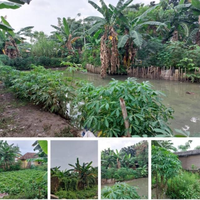 dijual-cepat-tanah-pinggir-jalan-pasar-kemis