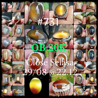 lelang-731--ob-20k-singkat-close-selasa-29-08-2212