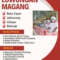 lowongan-kerja-magang-di-tangerang