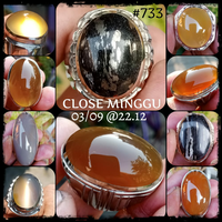 lelang-733-close-minggu-03-09-2212