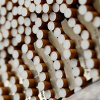 25-jenis-rokok-paling-mahal-di-indonesia-harga-yang-naik-terus-apa-membawa-manfaat