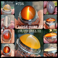 lelang-736-close-jum-at-08-09-2212