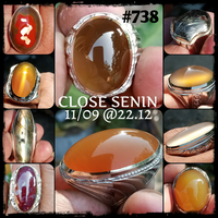lelang-738-close-senin-11-09-2212
