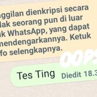 fitur-baru-whatsapp-hadir-nih-gan-bikin-senang-atau-gamang