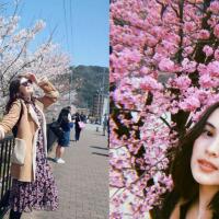 gak-perlu-ke-jepang-gansist-bisa-wisata-dengan-spot-bunga-sakura-di-4-tempat-ini