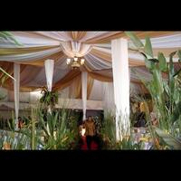 acara-pernikahan-tenda-dekorasi-vvip-tema-putih-emas