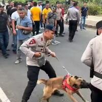 anjing-pelacak-gigit-celana-komandan-polisi-saat-simulasi-unjuk-rasa-kok-bisa