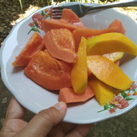 mangga-manis-idolaku