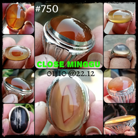 lelang-750-close-minggu-01-10-2212